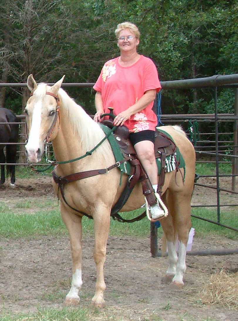 horse rehabilitation